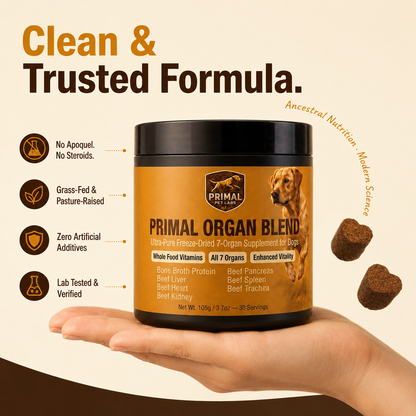 Primal Organ Blend - Gut Support