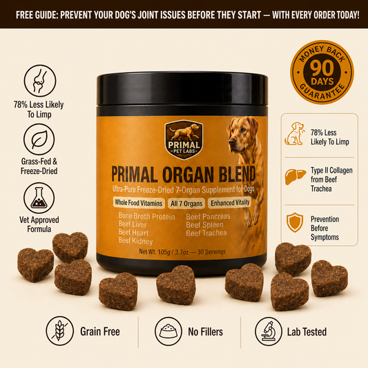 Primal Organ Blend - Joint-support