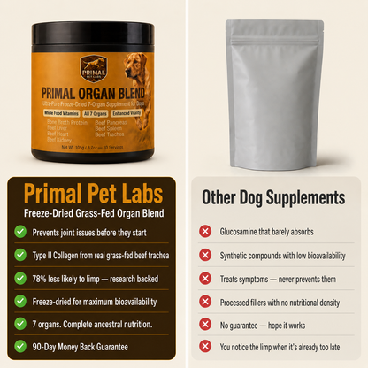 Primal Organ Blend - Joint-support