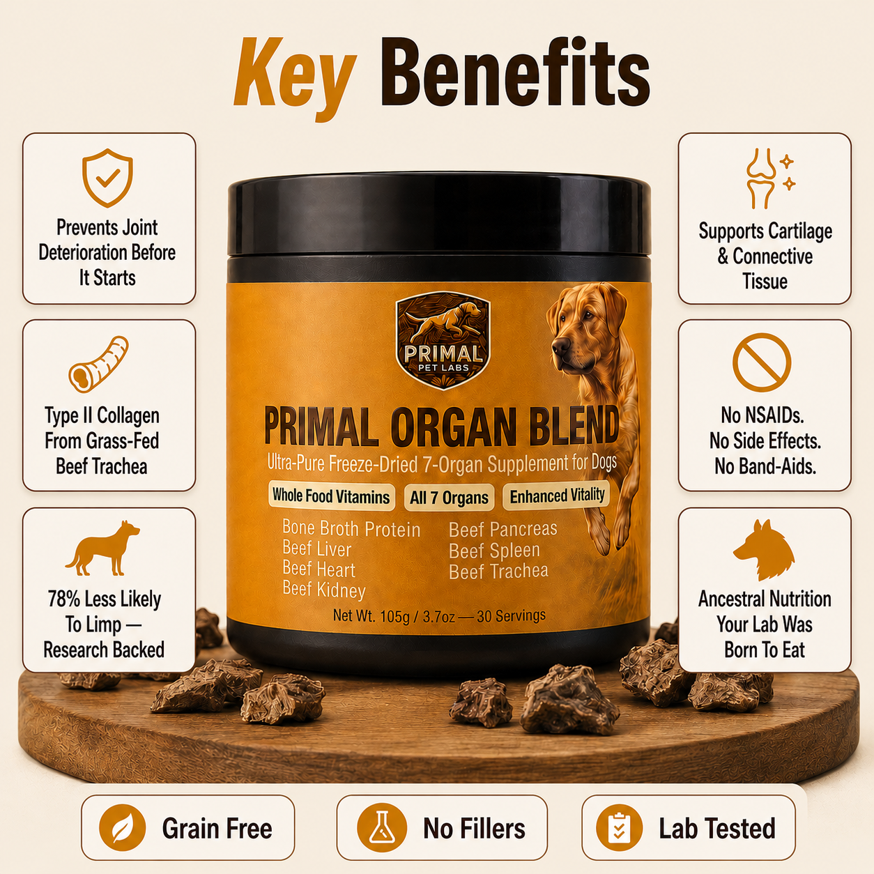Primal Organ Blend - Joint-support