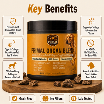 Primal Organ Blend - Joint-support