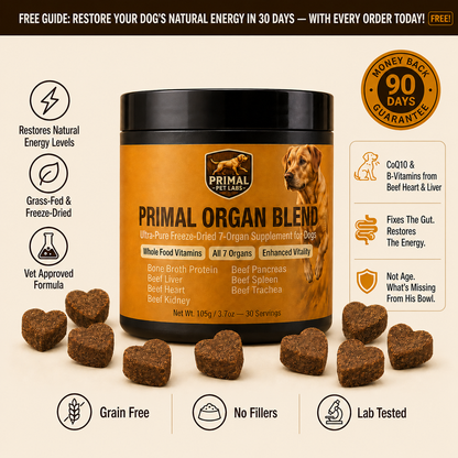 Primal Organ Blend - Gut Support