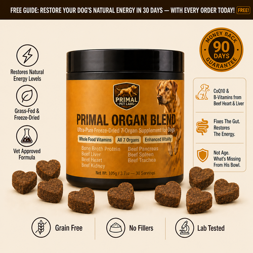 Primal Organ Blend - Gut Support