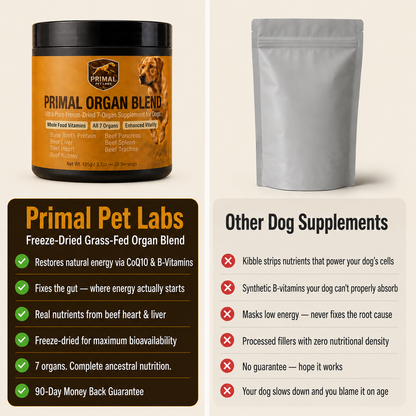 Primal Organ Blend - Gut Support