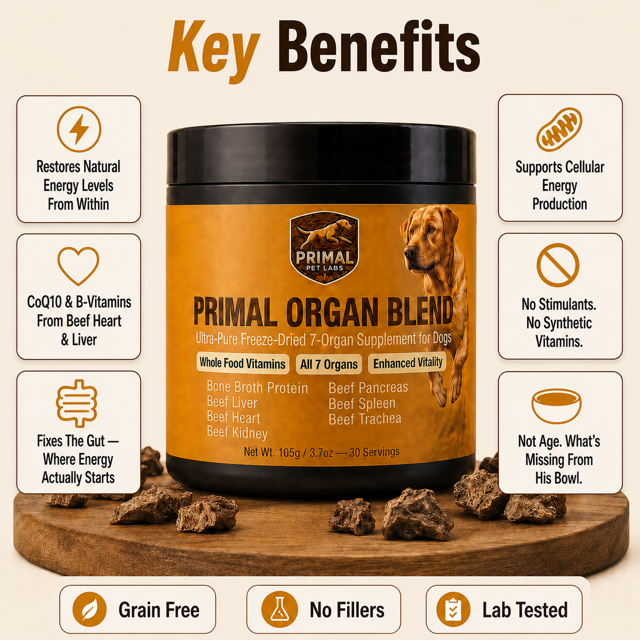 Primal Organ Blend - Gut Support
