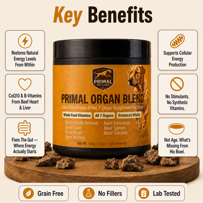 Primal Organ Blend - Gut Support