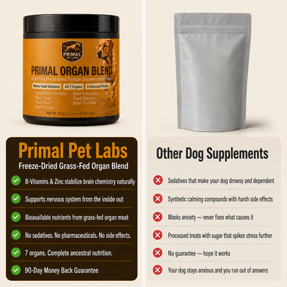 Primal Organ Blend - Anti-Anxiety Support