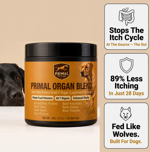 Primal Organ Blend — Anti Itch Support
