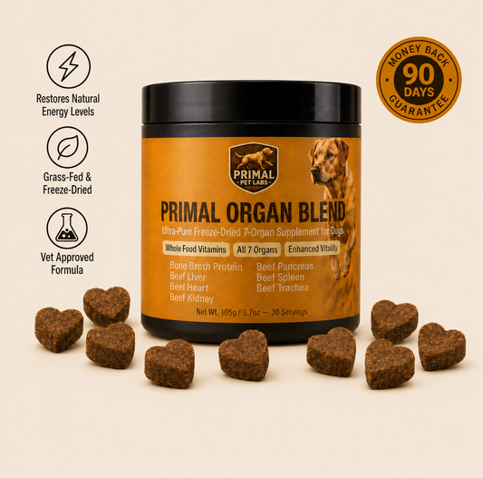 Primal Organ Blend — Energy & Gut Restoration