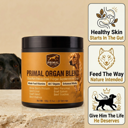Primal Organ Blend — Anti Itch Support