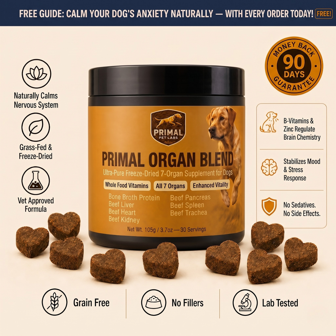 Primal Organ Blend - Weight Support