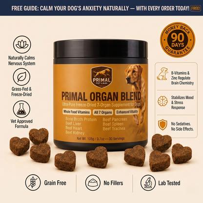 Primal Organ Blend - Weight Support