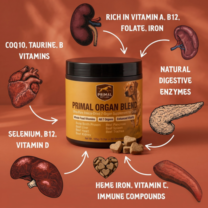 Primal Organ Blend — Anti Itch Support